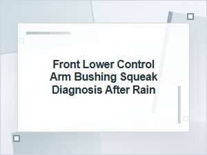 Front Lower Control Arm Bushing Squeak After Rain